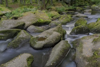 Water flowing between moss-covered rocks in a dense forest, Waldnaabtal, Upper Palatinate