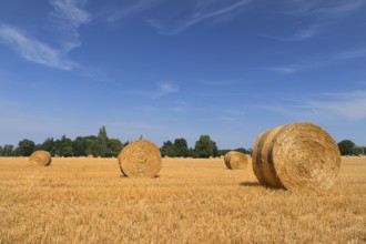 Agricultural landscape with straw rolls in the fields