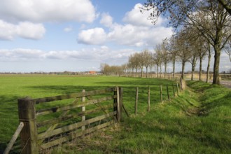 Rural landscape with meadows and fence
