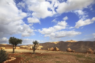 Transparent spring morning in mountains of Samaria. Velvety hills are shined by the morning sun