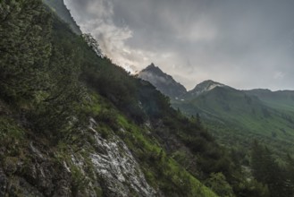 Beautiful mountain hike on the Great Widderstein in the Allgau Alps in the Kleinwalsertal