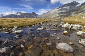 Quiet mountain stream in South Tyrol, Italy, Europe