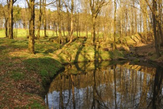 Spring in Sohland an der Spree. Spring in the Upper Lusatia