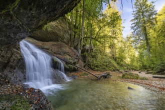 Picturesque waterfall in the middle of a tranquil forest with clear skies and surrounding rocks and