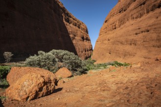 Kata Tjuta, formerly The Olgas, Walpa Gorge Area, Uluru-Kata Tjuta National Park, Northern