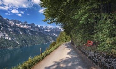 Alley near Walensee lakeshore, with a view to the snow-capped peaks of the Swiss Alps mountains in