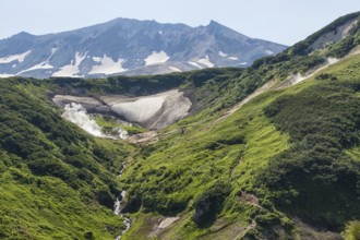 Flora of Kamchatka. Forests and fields. Nature of Kamchatka. Landscapes and magnificent views of