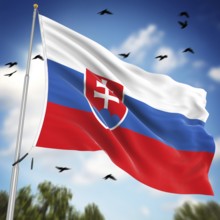 Flag of Slovakia, This is a computer generated and 3d rendered image