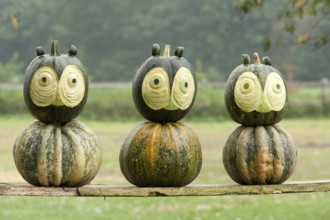 Three green pumpkins with funny carved faces on wooden slats, borken, münsterland, germany