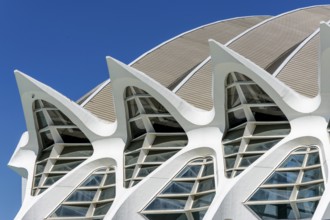 Detail of the roof of the white futuristic building of the science museum Prinz Philip (Museu de