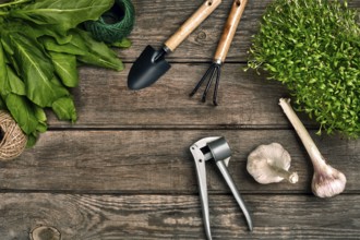 Gardening tools and greenery on wooden table. Spring in the garden. Top view. Still life. Flat lay.