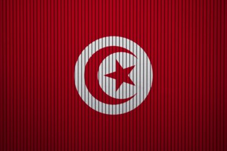Tunisia Flag painted on the cracked grunge concrete wall