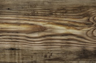 Wood texture of treated pine bright colour