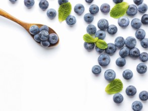 Blueberries isolated on white background. Blueberry border design. Ripe and juicy fresh picked