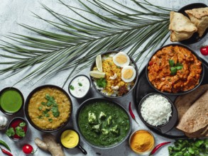 Indian cuisine dishes: tikka masala, dal, paneer, samosa, chapati, chutney, spices. Indian food on