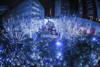 Christmas illuminations of Roppongi image. Shooting Location: Tokyo metropolitan area