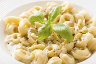 Delicious dish of tortellini with pesto in white plate