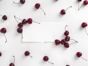 Creative layout with fresh ripe berries. Cherry isolated on white background with white rectangle
