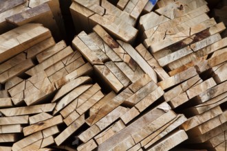 Pile of beech wood, Germany, Europe
