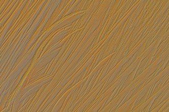 Patterns in a tree trunk