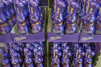 Shelf with Milka chocolate bunnies, supermarket, Bavaria, Germany, Europe
