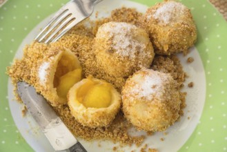 Real apricot dumplings with breadcrumbs and sugar on a plate - fruit dumplings