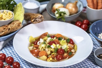 Minestrone with savoy cabbage, carrots, Thracia phaseolina beans, cobbettis and tomatoes