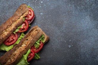 Two dark ciabatta sandwiches with green salad, ripe red tomatoes, onion and tuna on rustic concrete