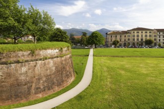 Historic town wall in Lucca, Tuscany, Italy, Europe
