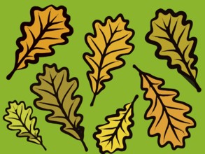 Modern autumn oak leaf design in bold colors on a green background