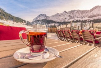 Image with a warm steamy cup of tea, flavored with a slice of orange and served at a mountain