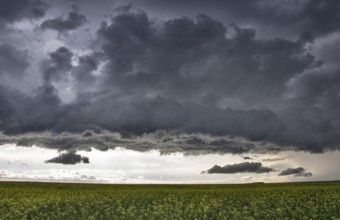 Prairie Storm Clouds Canada Saskatchewan Dramatic Summer