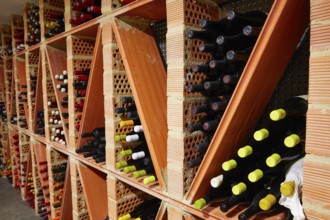 Wine Cellar from Mediterranean with bottles stacked in rows