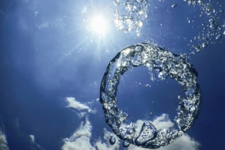 Underwater Bubble Ring Ascends towards the Sun