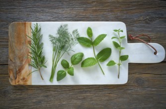 Aromatic herbs culinary plants rosemary fennel oregano mint and basil on wood