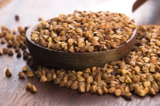 Buckwheat seeds on wooden spoon in closeup, lodz, poland