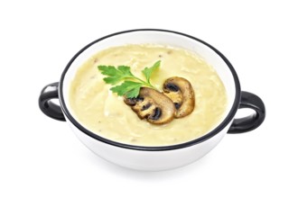 Soup puree with champignons in the bowl isolated on white background