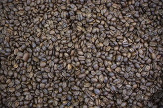 Coffee beans texture or coffee beans background