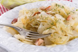 Tasty braised cabbage vegetables
