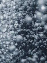 Air bubbles, underwater bubbles Abstract Background