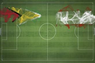 Guyana vs Austria Soccer Match, national colors, national flags, soccer field, football game,