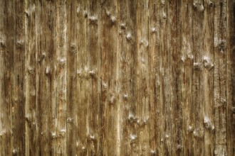 Wooden Background Kaliakra, Bulgaria, Europe