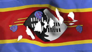 Swaziland flag perforated, bullet holes, white background, 3d rendering