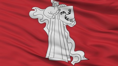 Zhodzina City Flag, Country Belarus, Closeup View, 3D Rendering