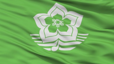 Harbin City Flag, Country China, Closeup View