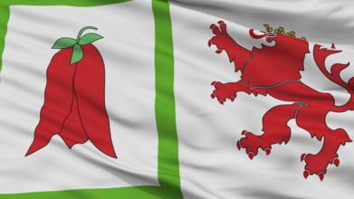 Arauco City Flag, Country Chile, Closeup View