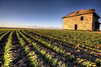 Sunset Light Saskatchewan Farm abandoned Stone House