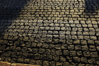 Old stone pavement in the morning sun
