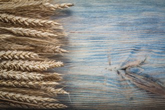 Composition of golden wheat rye ears on wooden board copy space