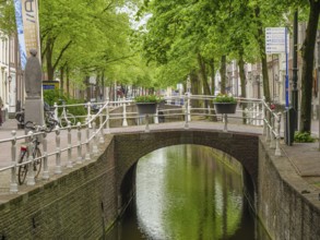A charming bridge over a canal in a residential area with lush vegetation, delft, the netherlands